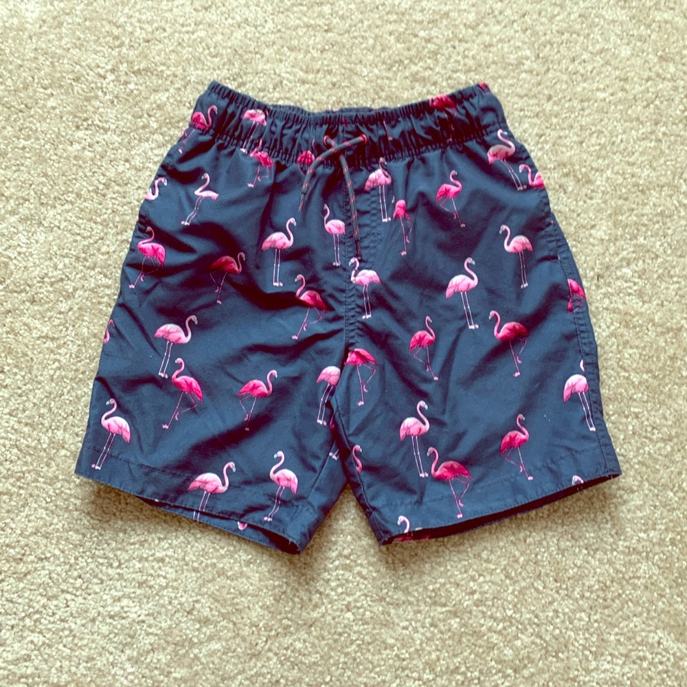 Boys Flamingo Swim Trunks